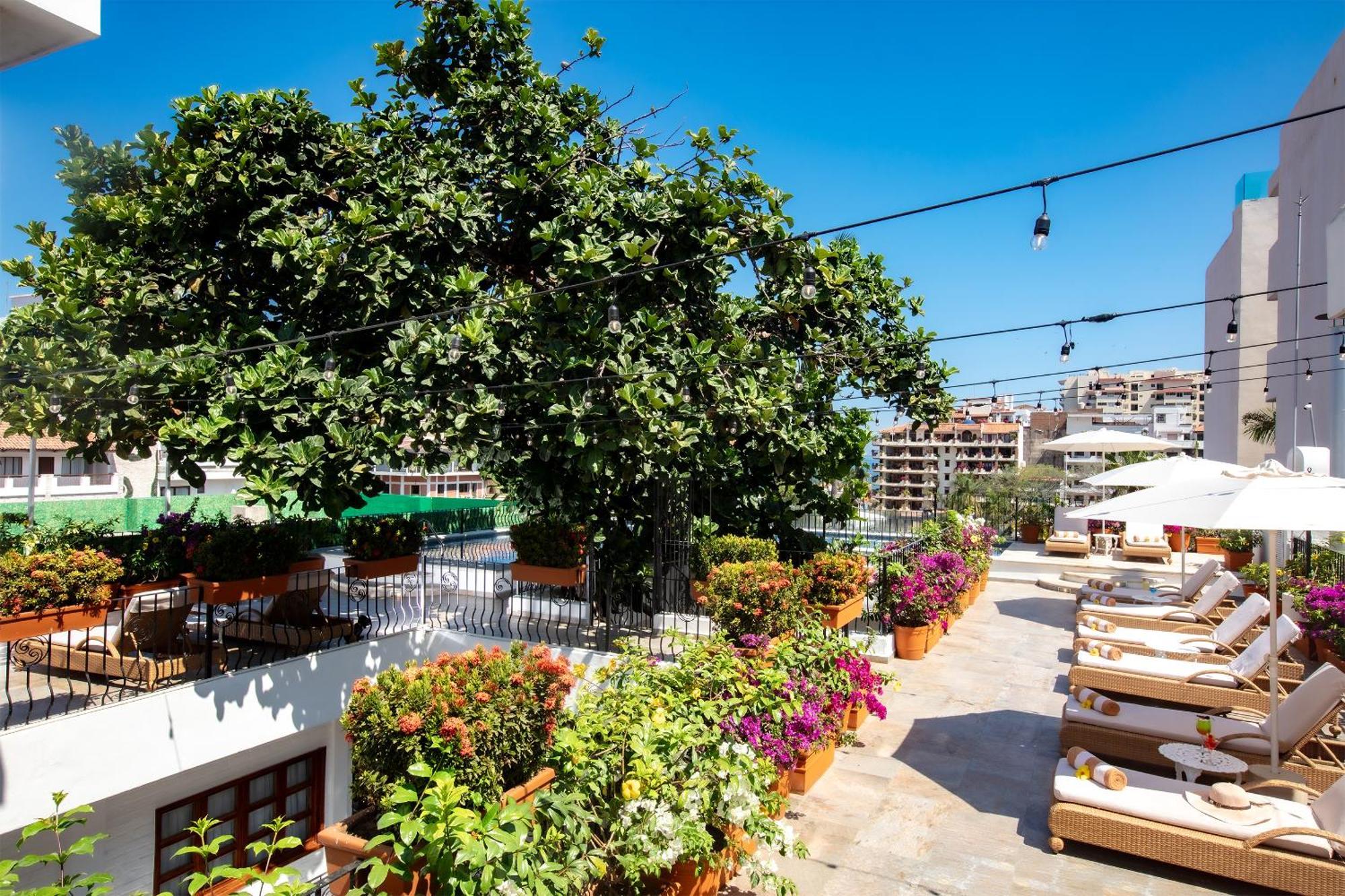 Casa Dona Susana (Adults Only) Puerto Vallarta Exteriör bild
